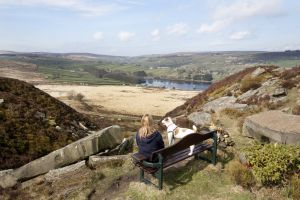 elaine dowse moor sm.jpg